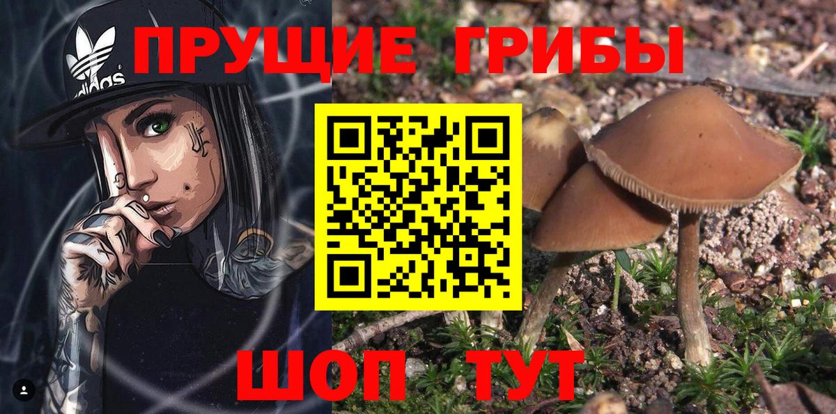 Псилоцибиновые грибы Magic Shrooms Зеленогорск