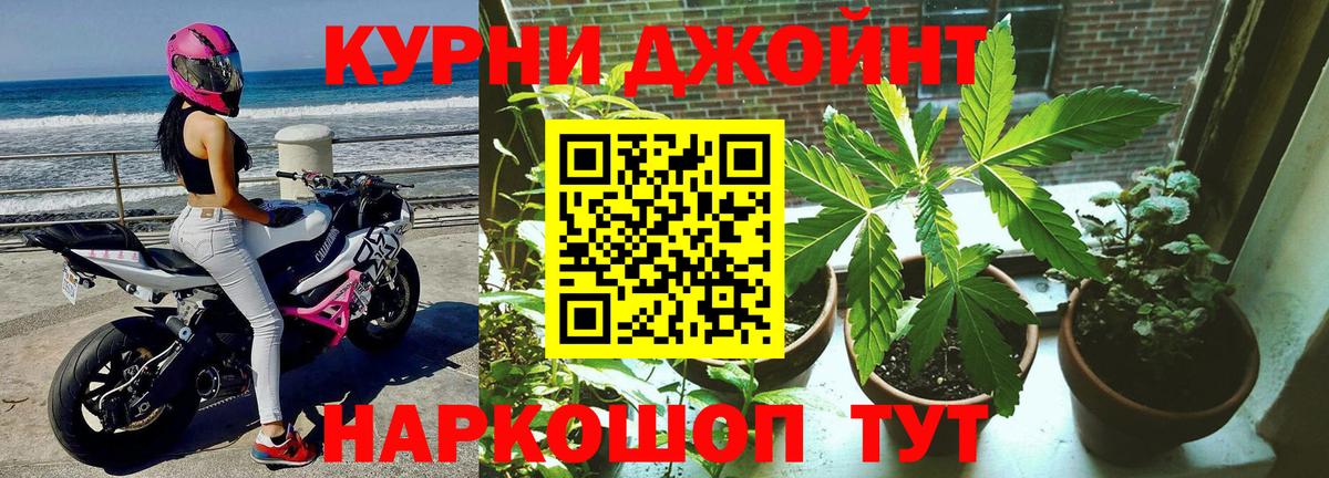 Марихуана OG Kush  Вход с VPN  Зеленогорск  Каннабис марихуана  Бошки марихуана тримм 